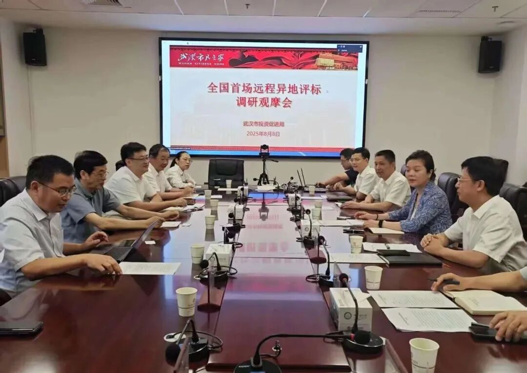 遠程異地評標，湖北首例執(zhí)行、首個“點亮”